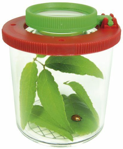 Eduplay Becherlupe Lupendose groß